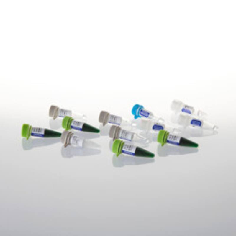 GoTaq(R) MDx Taq Polymerase, 500u