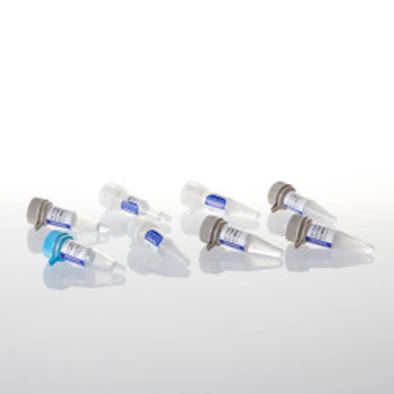 GoTaq(R) MDx Taq Polymerase, Glycerol-free, 500u