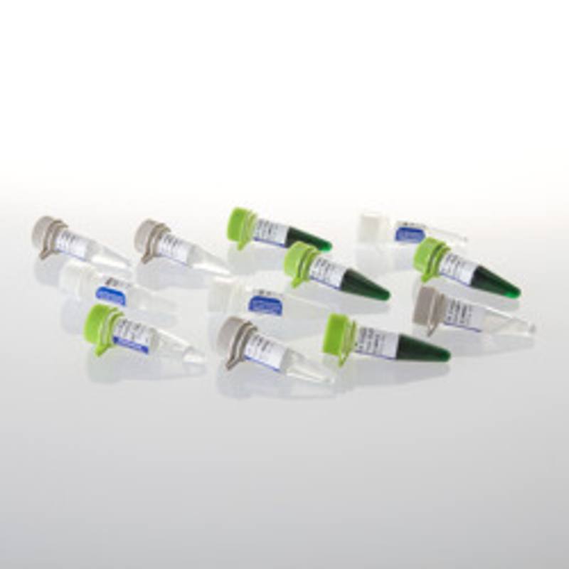 GoTaq(R) MDx Hot Start Polymerase, 500u