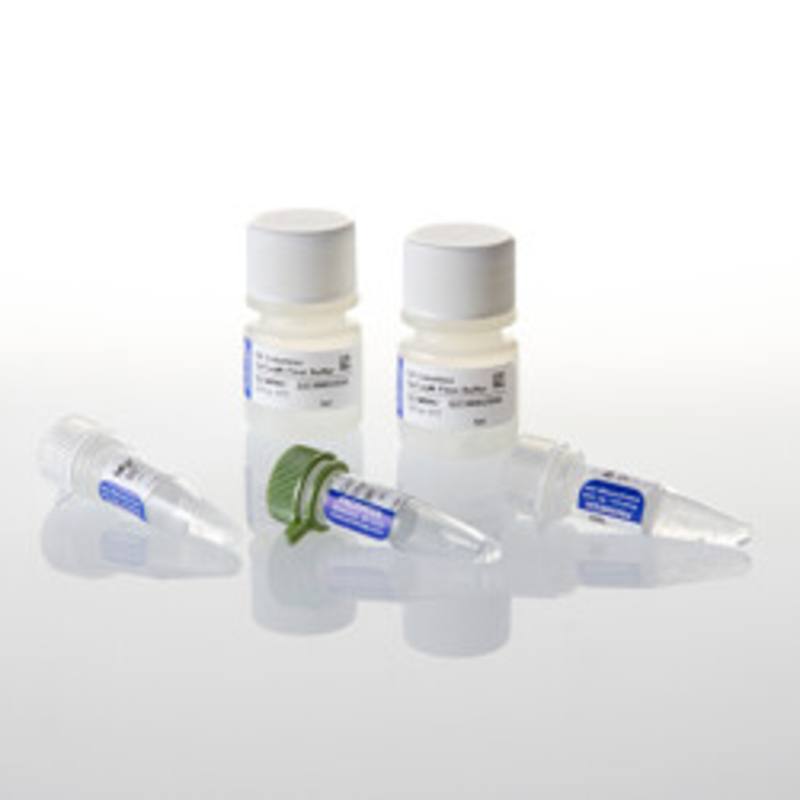 GoTaq(R) MDx Hot Start Taq Polymerase, 1,000u