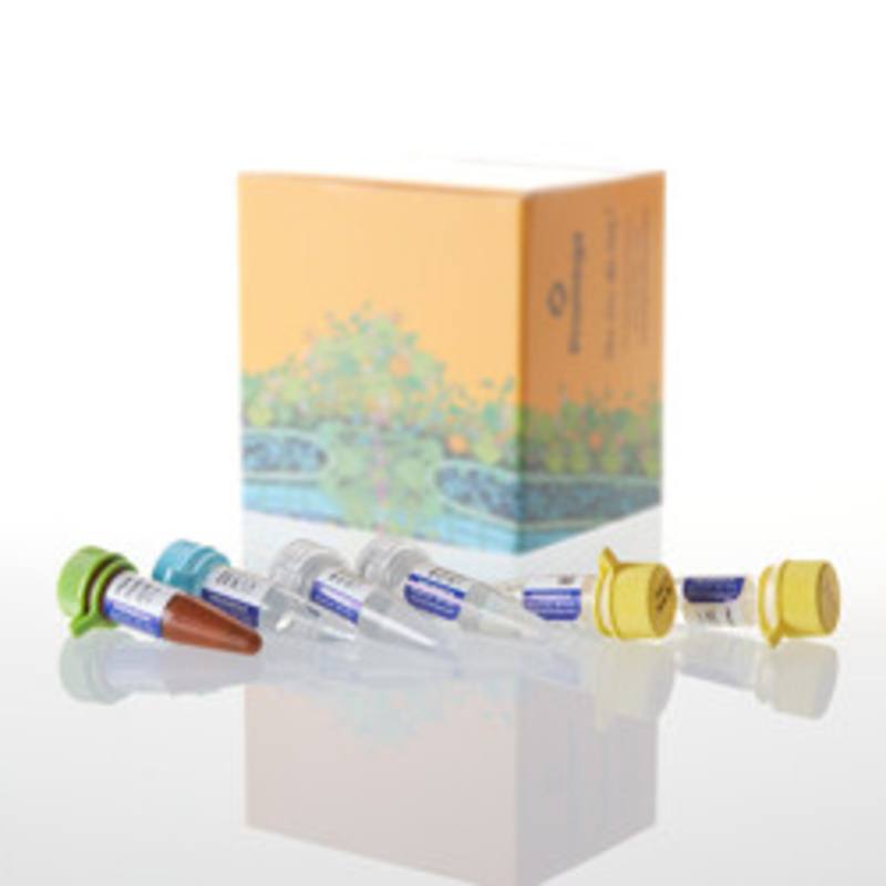 Plexor(R) HY System, 200 rxn