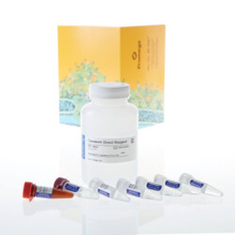 Casework Direct System, 100ml