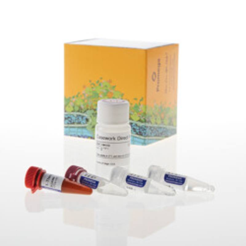Casework Direct System, 10ml