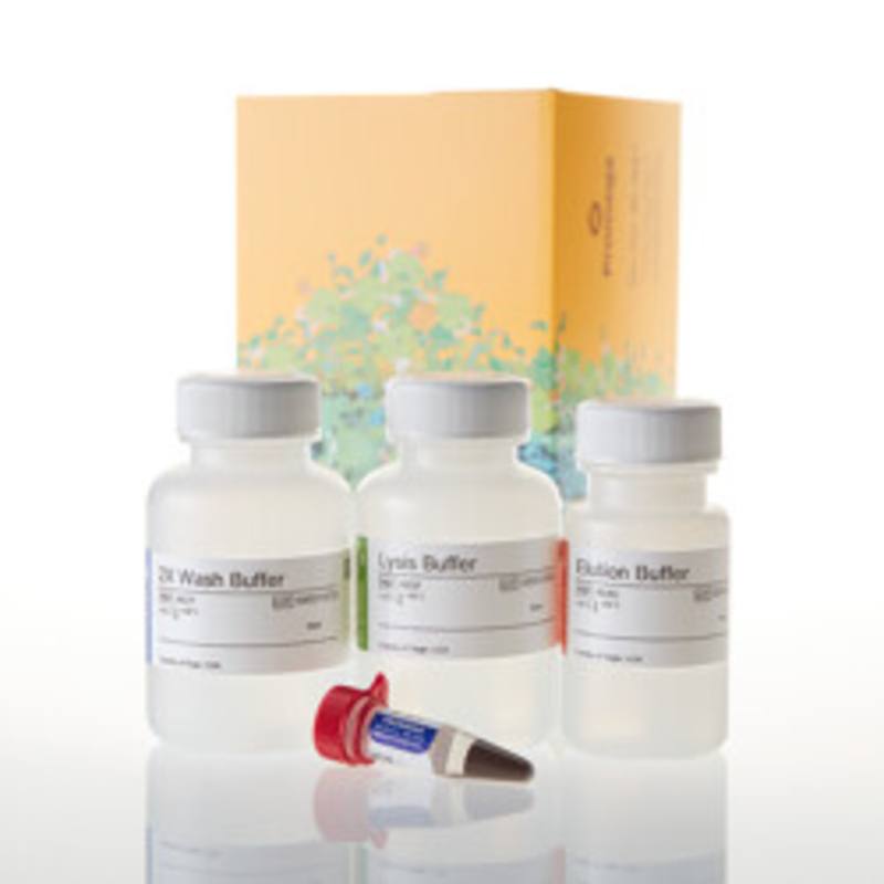 DNA IQ(TM) System, 100 rxn
