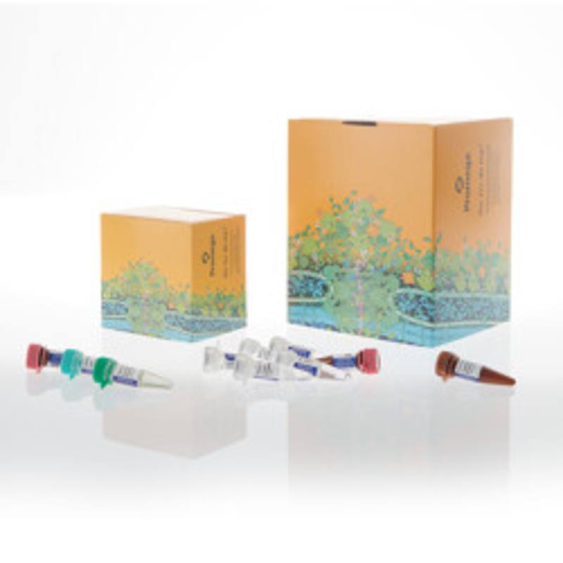 VersaPlex(R) 31P System, 200rxn