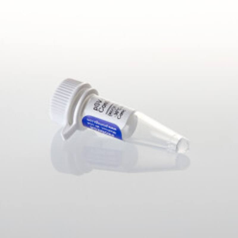 pSV-B-Gal Control, 20ug