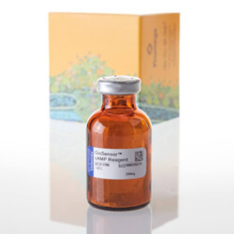 GloSensor(TM) cAMP Reagent 250mg