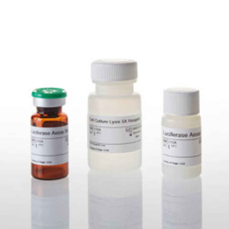 Luciferase Assay System