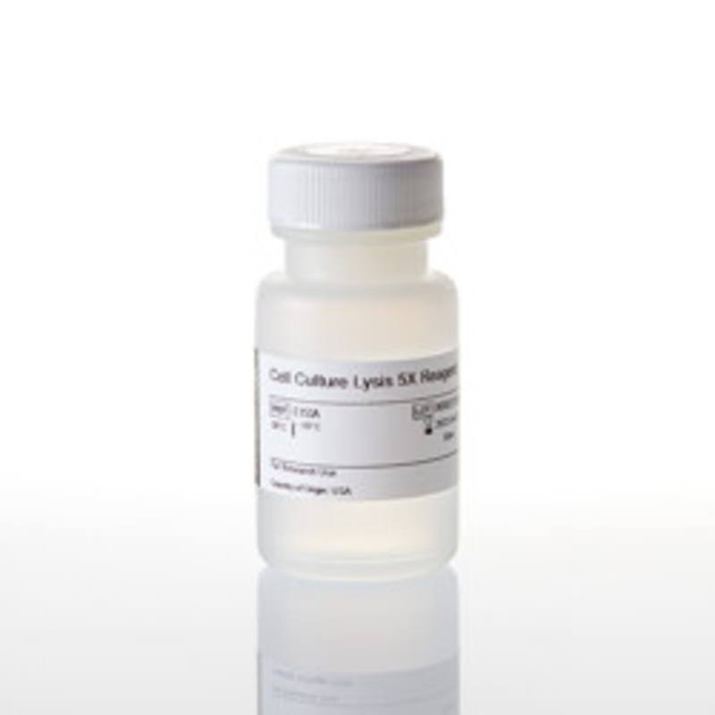 Luciferase Cell Culture Lysis 5X Reagent, 30ml