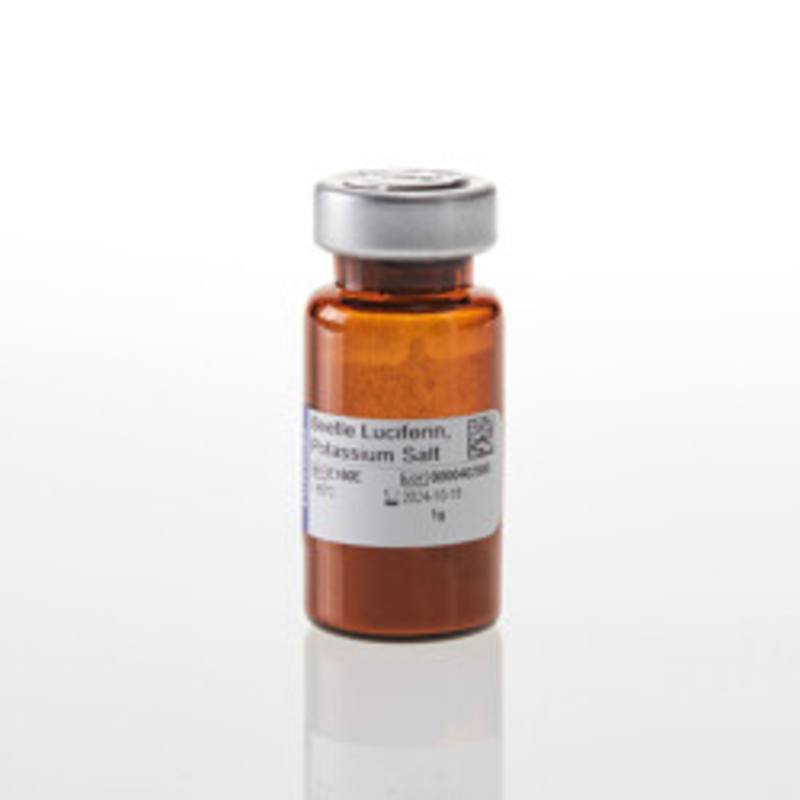 Beetle Luciferin, Potassium Salt, 1gm