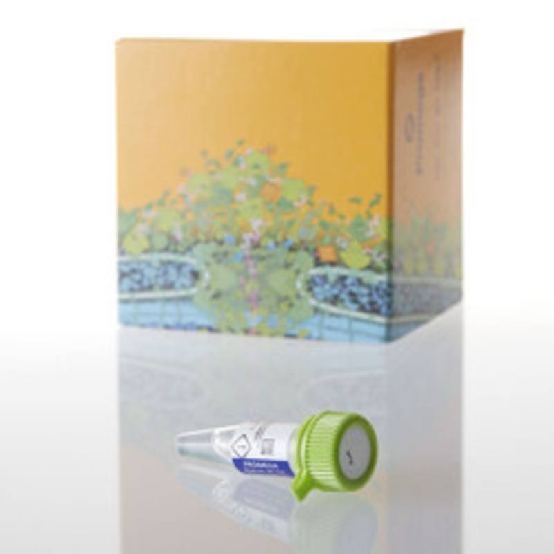 QuantiLum(R) Recombinant Luciferase, 5mg