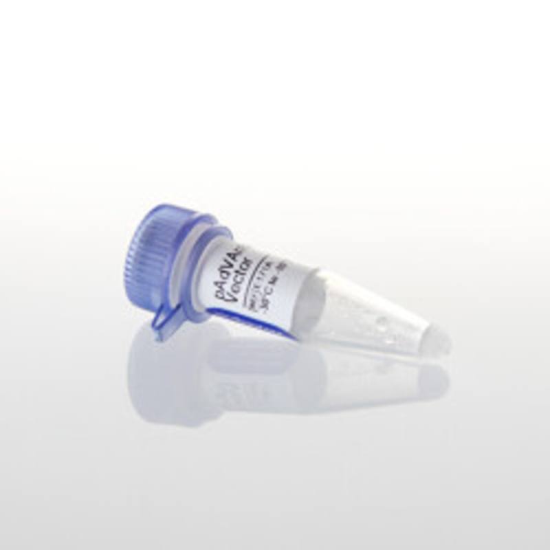 pAdVAntage(TM) Vector, 20ug
