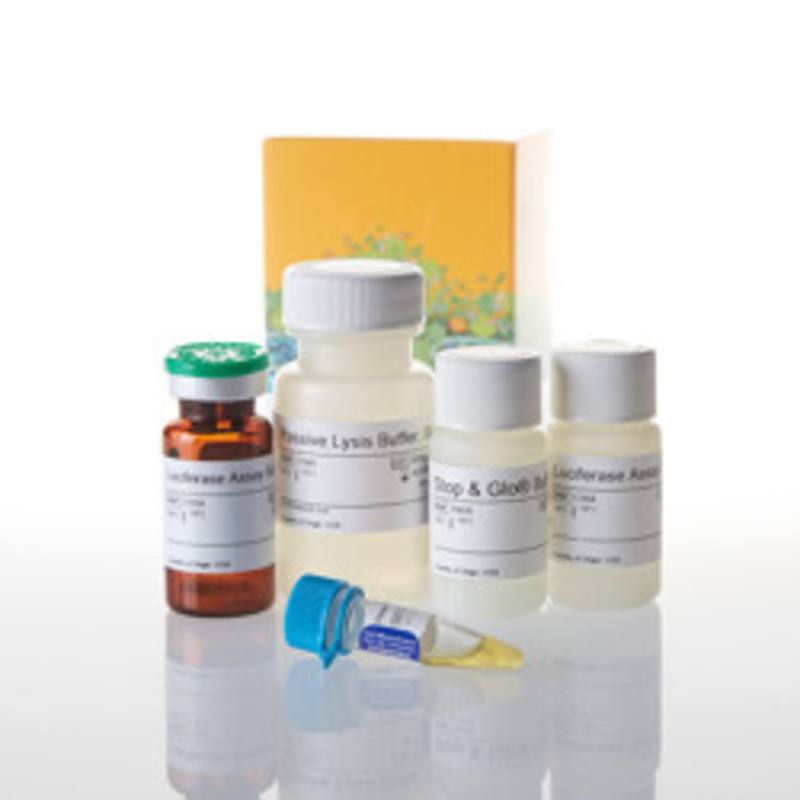 Dual-Luciferase(R) Reporter Assay System