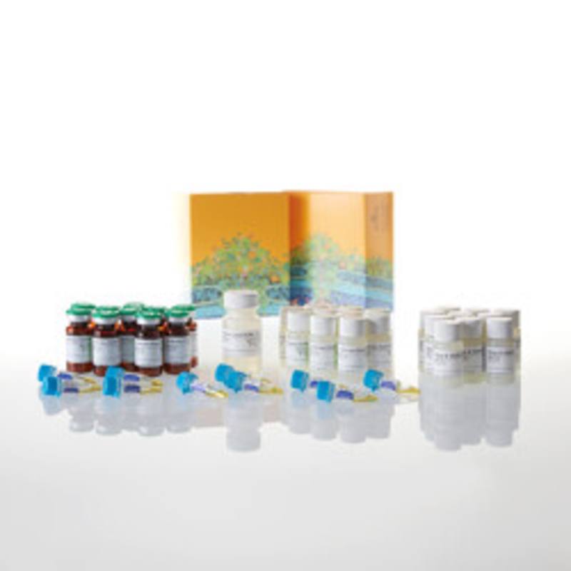 Dual-Luciferase(R) Reporter Assay System 10-Pack