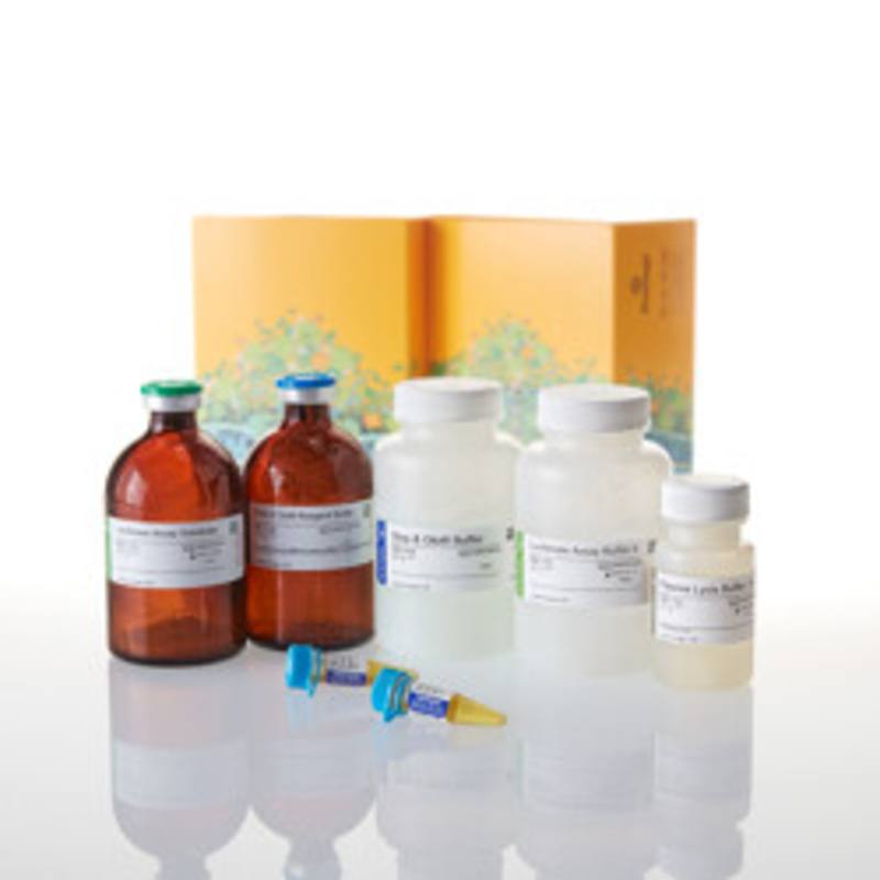 Dual-Luciferase(R) Reporter 1000 Assay System