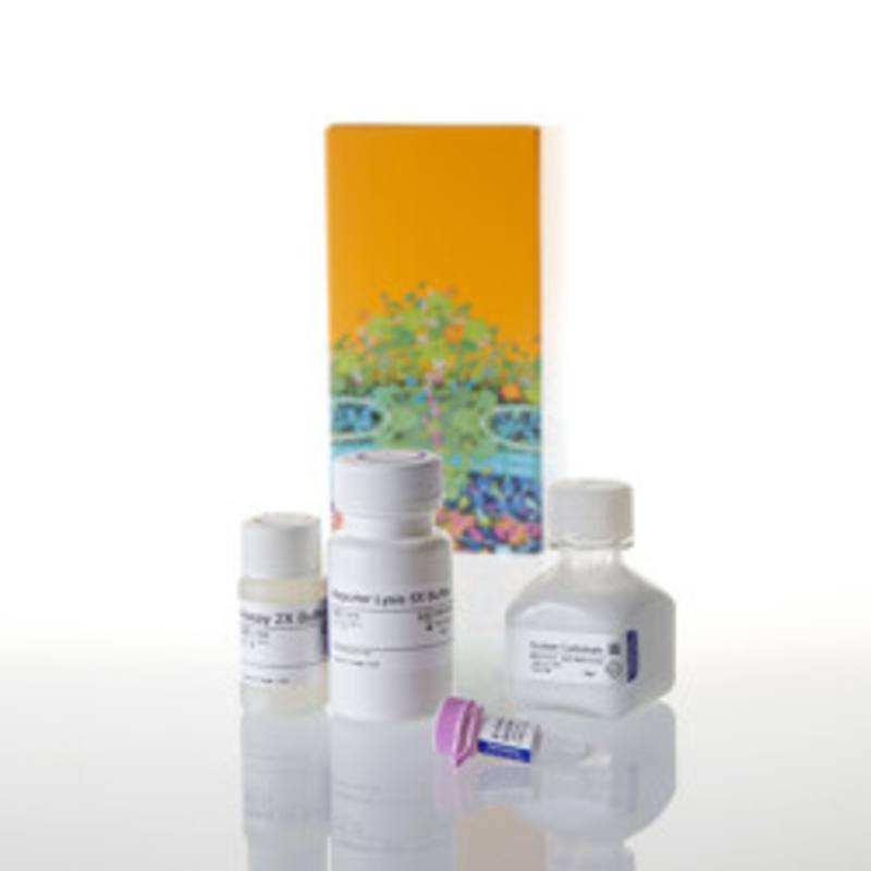 Beta-Galactosidase Enzyme Assay System
