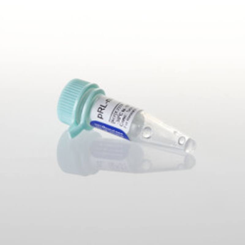 pRL-CMV Vector, 20ug