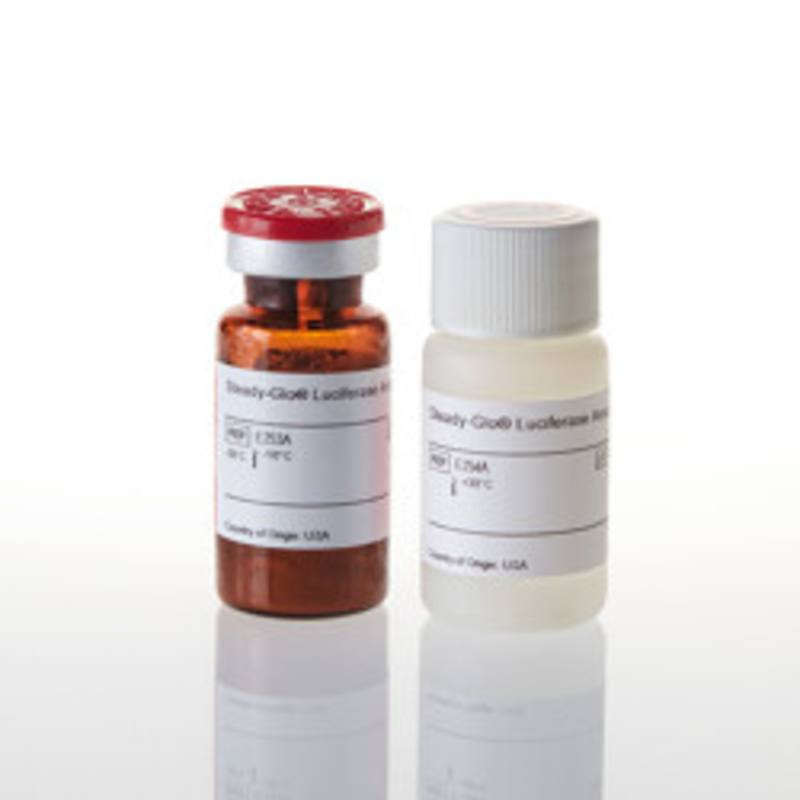 Steady-Glo(R) Luciferase Assay System, 10ml
