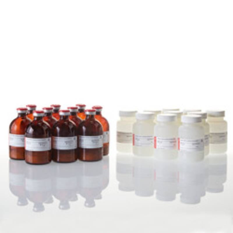 Steady-Glo(R) Luciferase Assay System, 10 x 100ml