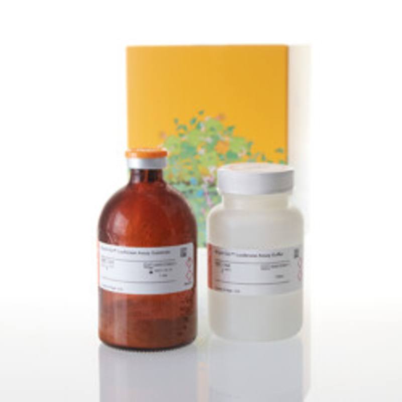 Bright-Glo(TM) Luciferase Assay System, 100ml