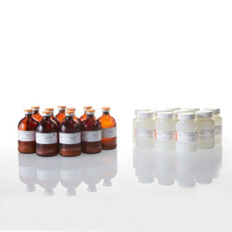Bright-Glo(TM) Luciferase Assay System, 10 x 100ml