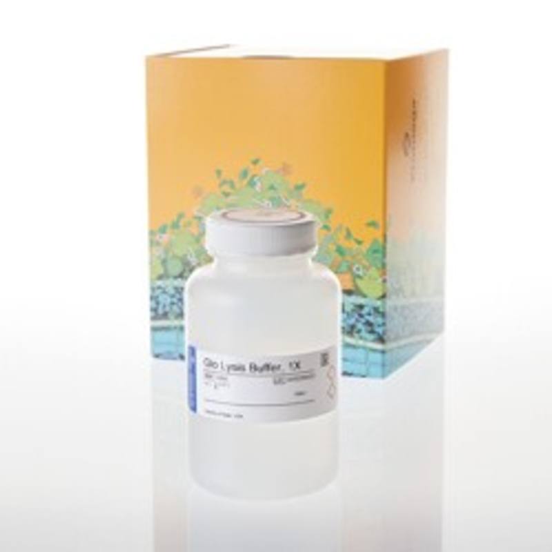 Glo Lysis Buffer, 1X, 100ml