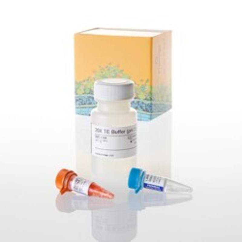 QuantiFluor(R) dsDNA System