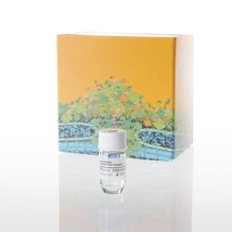 FuGENE(R) 6 Transfection Reagent, 1ml