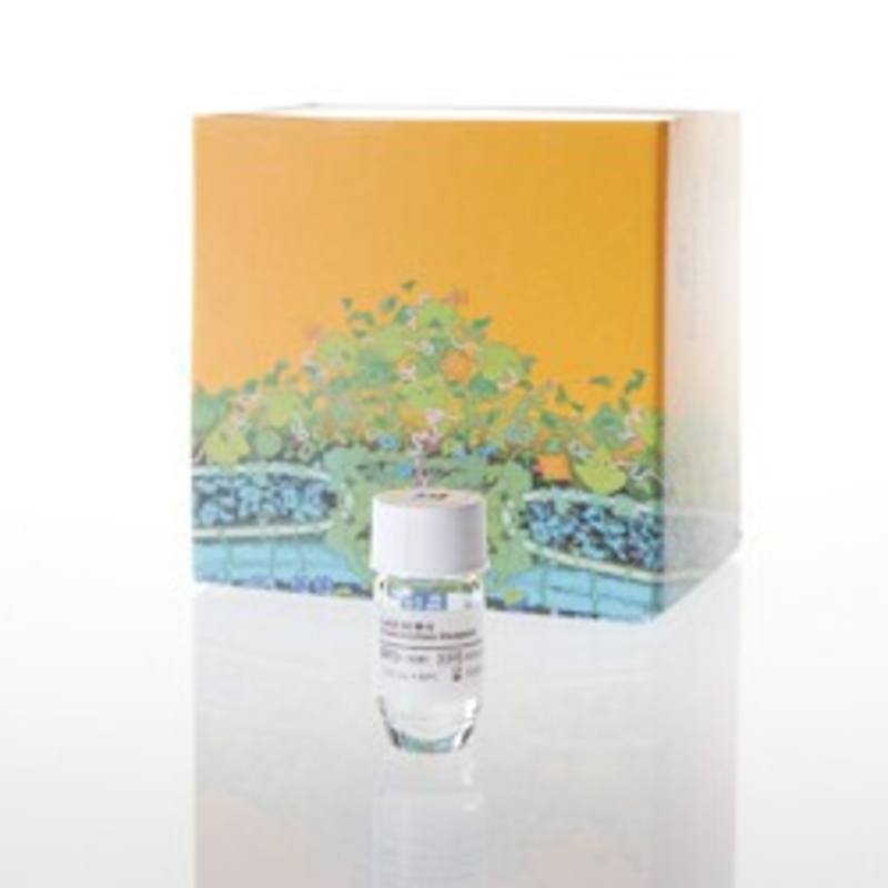 FuGENE(R) 6 Transfection Reagent, 0.5ml