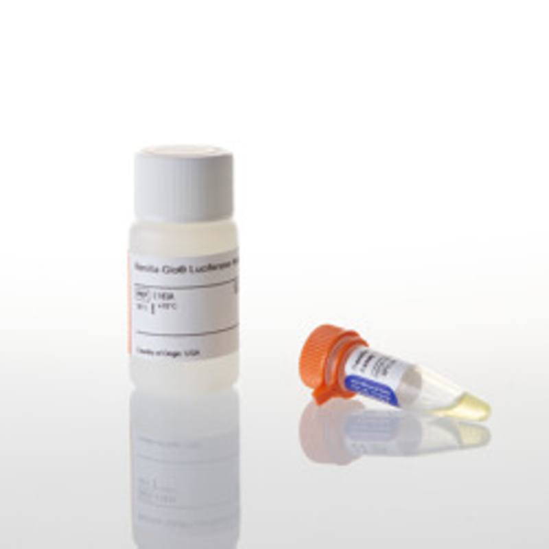 Renilla-Glo(R) Luciferase Assay System, 10ml