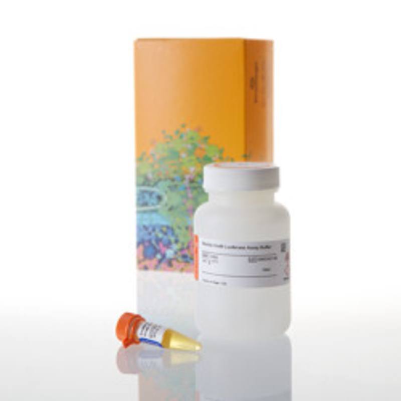 Renilla-Glo(R) Luciferase Assay System, 100ml