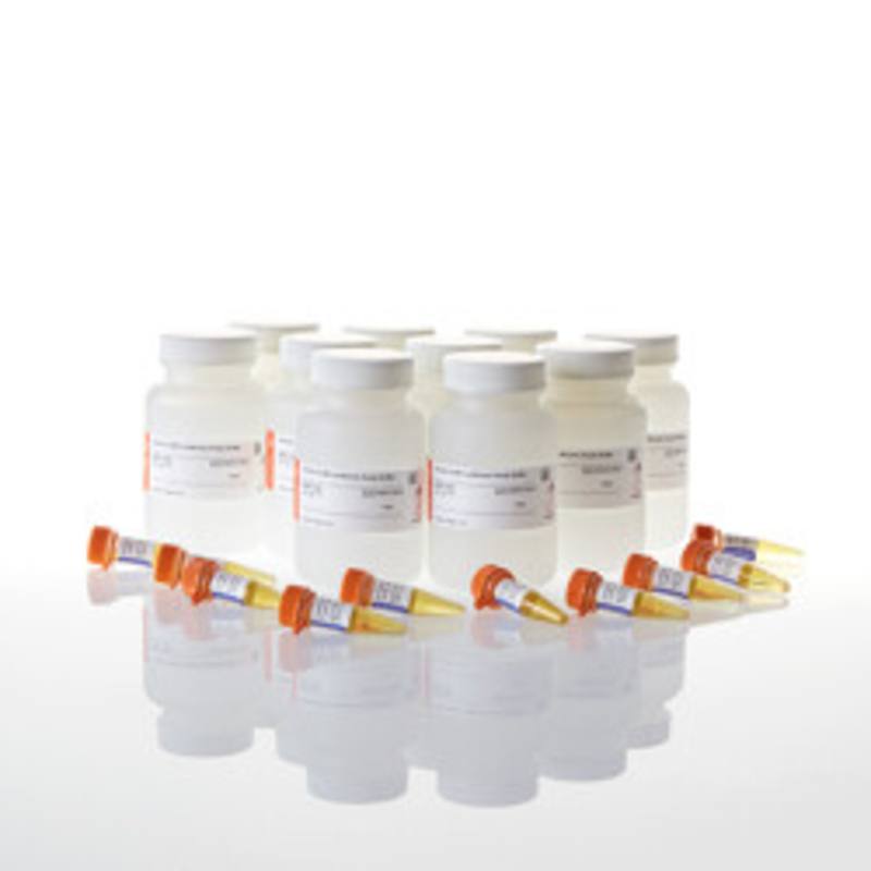 Renilla-Glo(R) Luciferase Assay System, 10 X 100ml