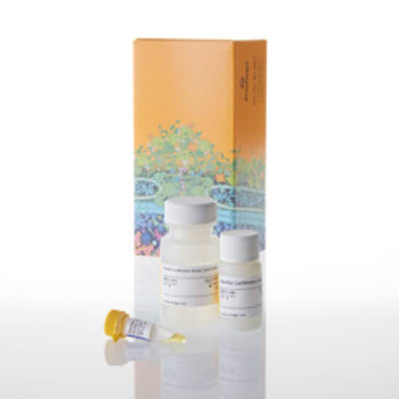 Renilla Luciferase Assay System, 100 Assays
