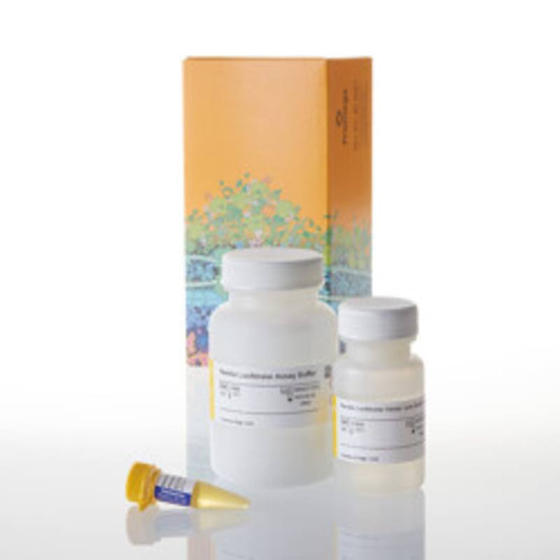 Renilla Luciferase Assay System, 1000 Assays