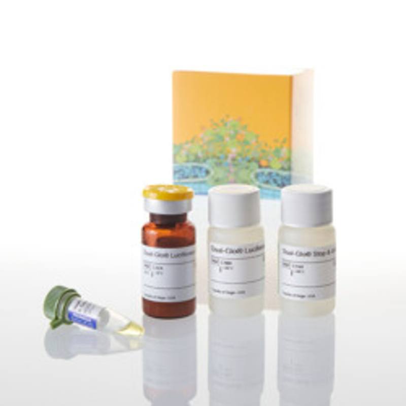 Dual-Glo(R) Luciferase Assay System, 10ml