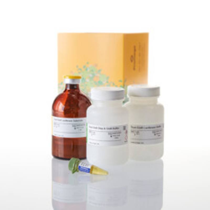 Dual-Glo(R) Luciferase Assay System, 100ml