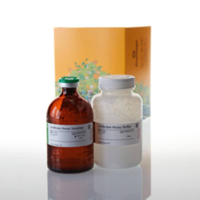 Luciferase 1000 Assay System