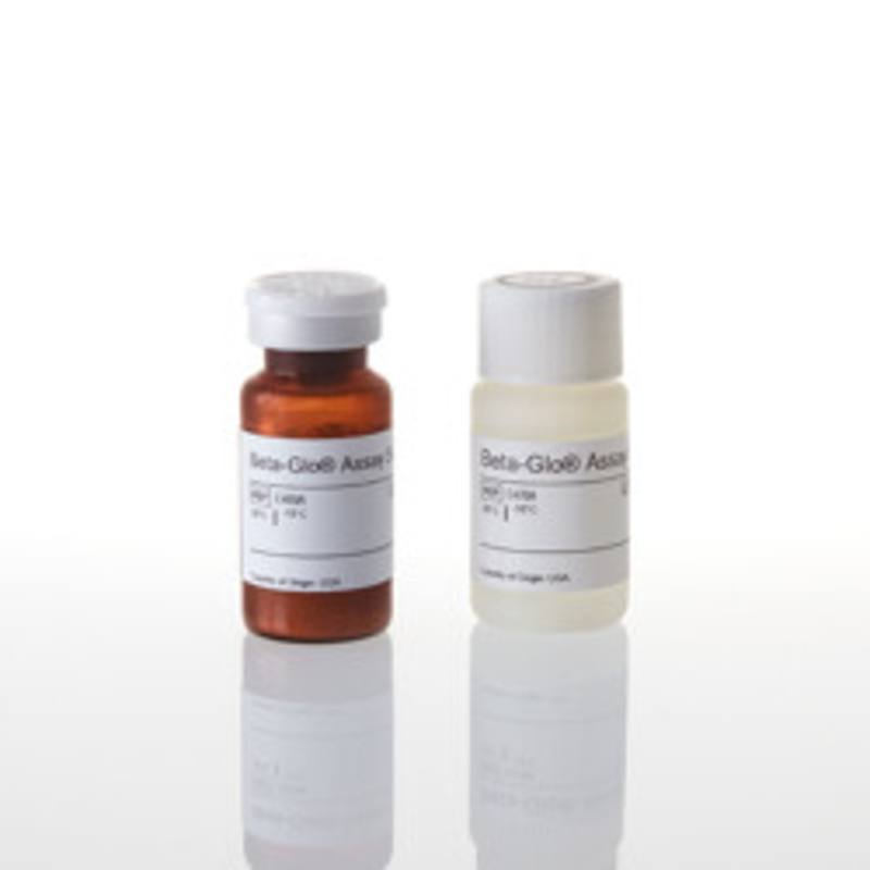 Beta-Glo(R) Assay System, 10ml