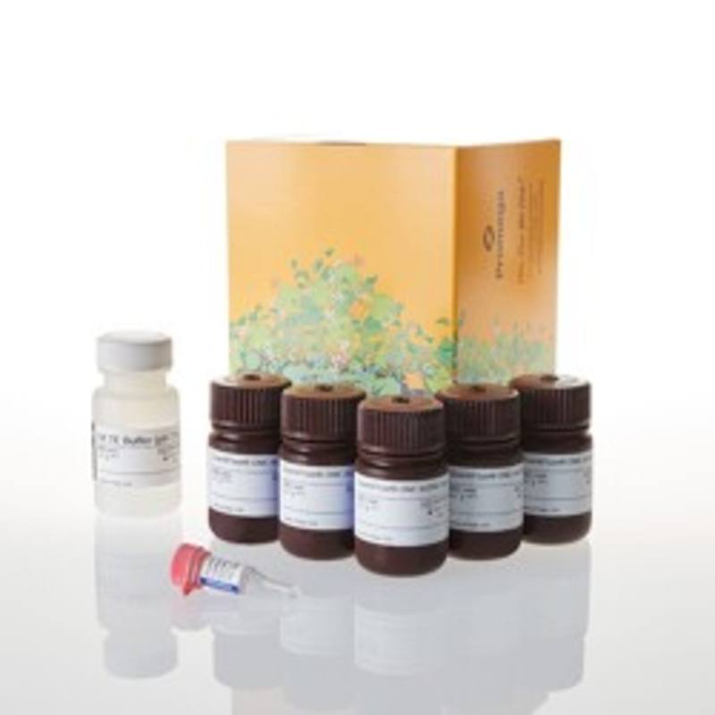 QuantiFluor(R) ONE dsDNA System, 500rxn