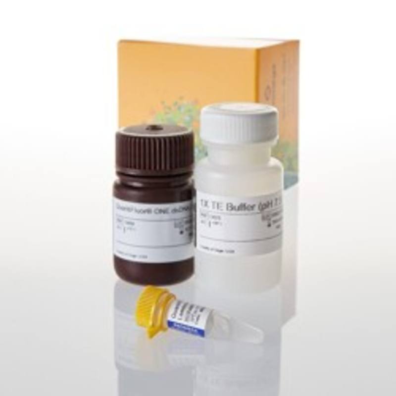 QuantiFluor(R) ONE dsDNA System, 100rxn