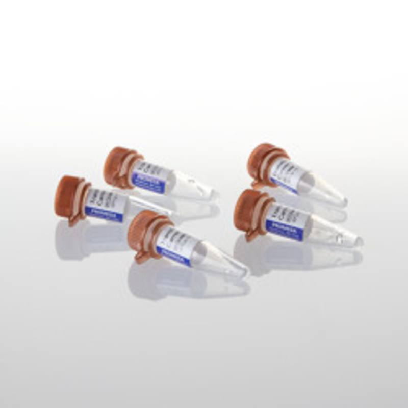 Transfection Carrier DNA
