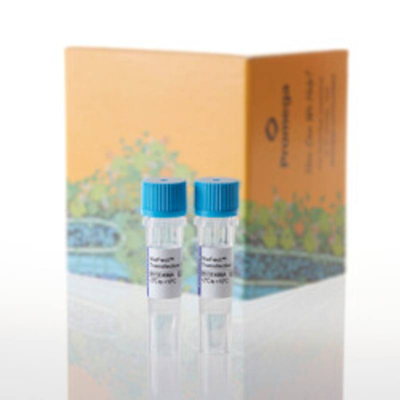 ViaFect(TM) Transfection Reagent, 2 x 0.75ml