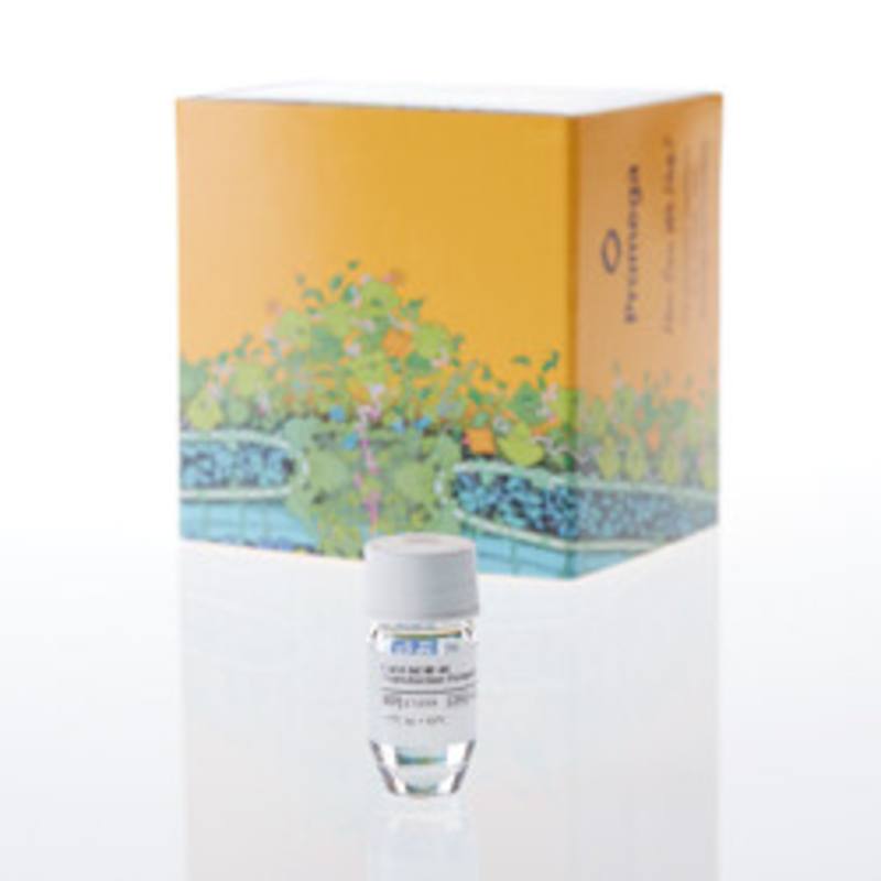 FuGENE(R) 4K Transfection Reagent, 1ml