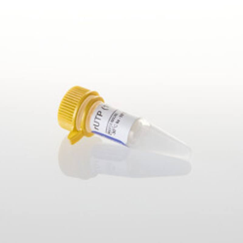 rUTP (100mM), 400ul
