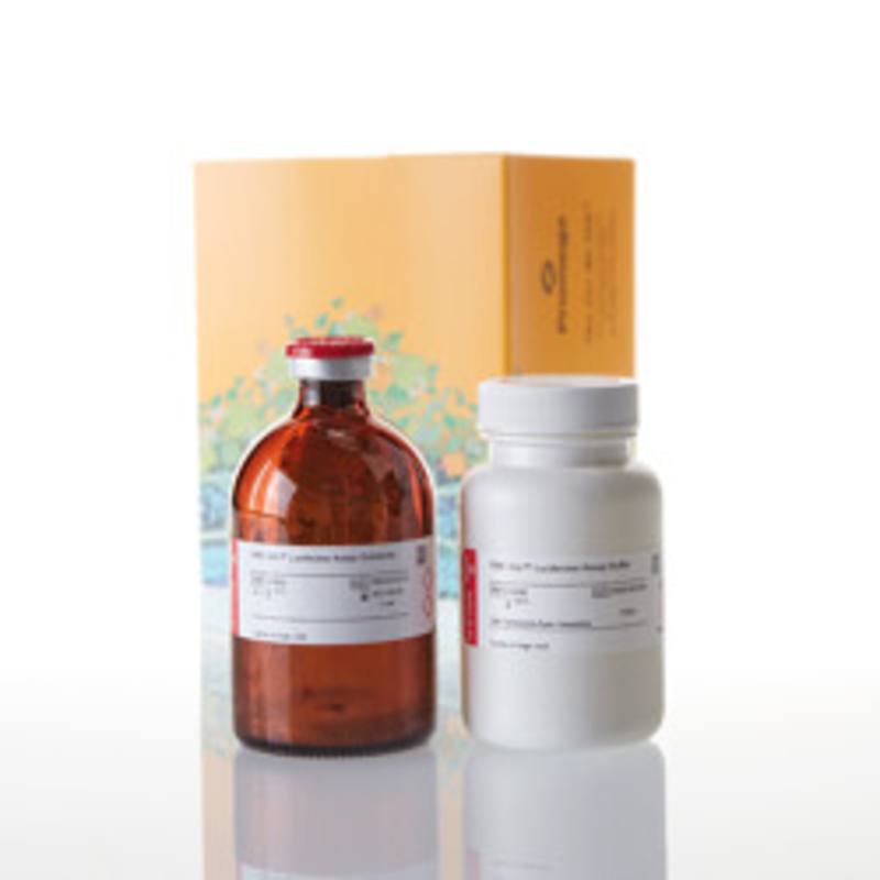 ONE-Glo(TM) Luciferase Assay System, 100ml