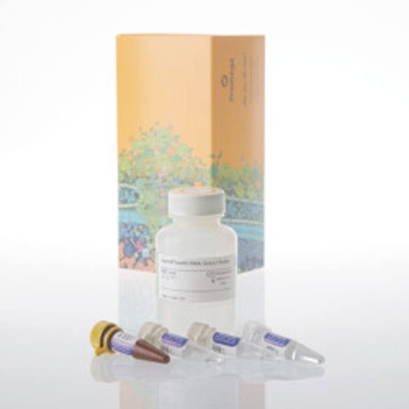 QuantiFluor(R) RNA Select System, 100 rxn
