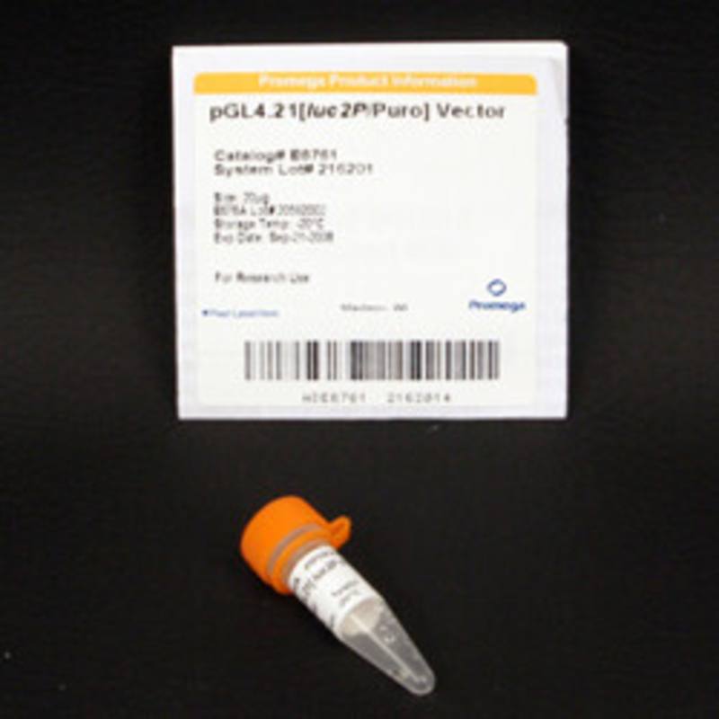 pGL4.21(luc2P/Puro) Vector, 20ug