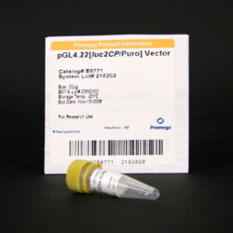pGL4.22(luc2CP/Puro)Vector, 20ug