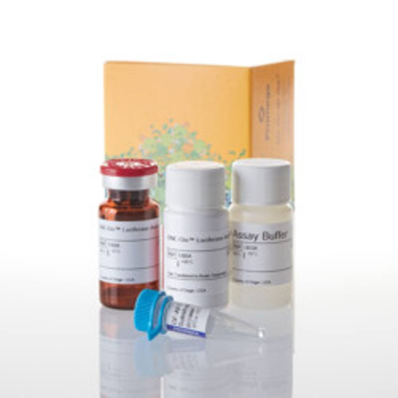 ONE-Glo(TM) + Tox Lucif and Cell Viability Assay, 1 Plate
