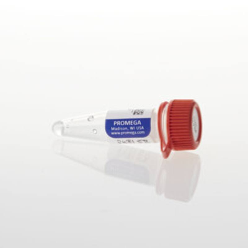 pGL4.23 [luc2/minP] Vector, 20ug